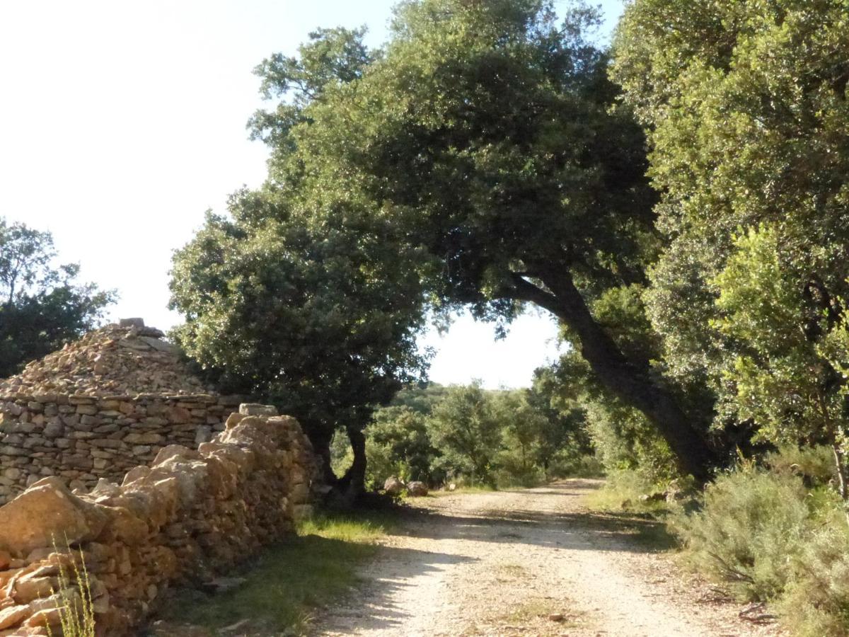 Molino Dolz Villa La Iglesuela del Cid Eksteriør billede